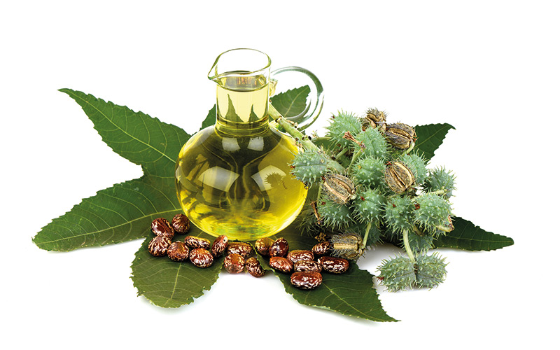 Καστορέλαιο, Castor oil